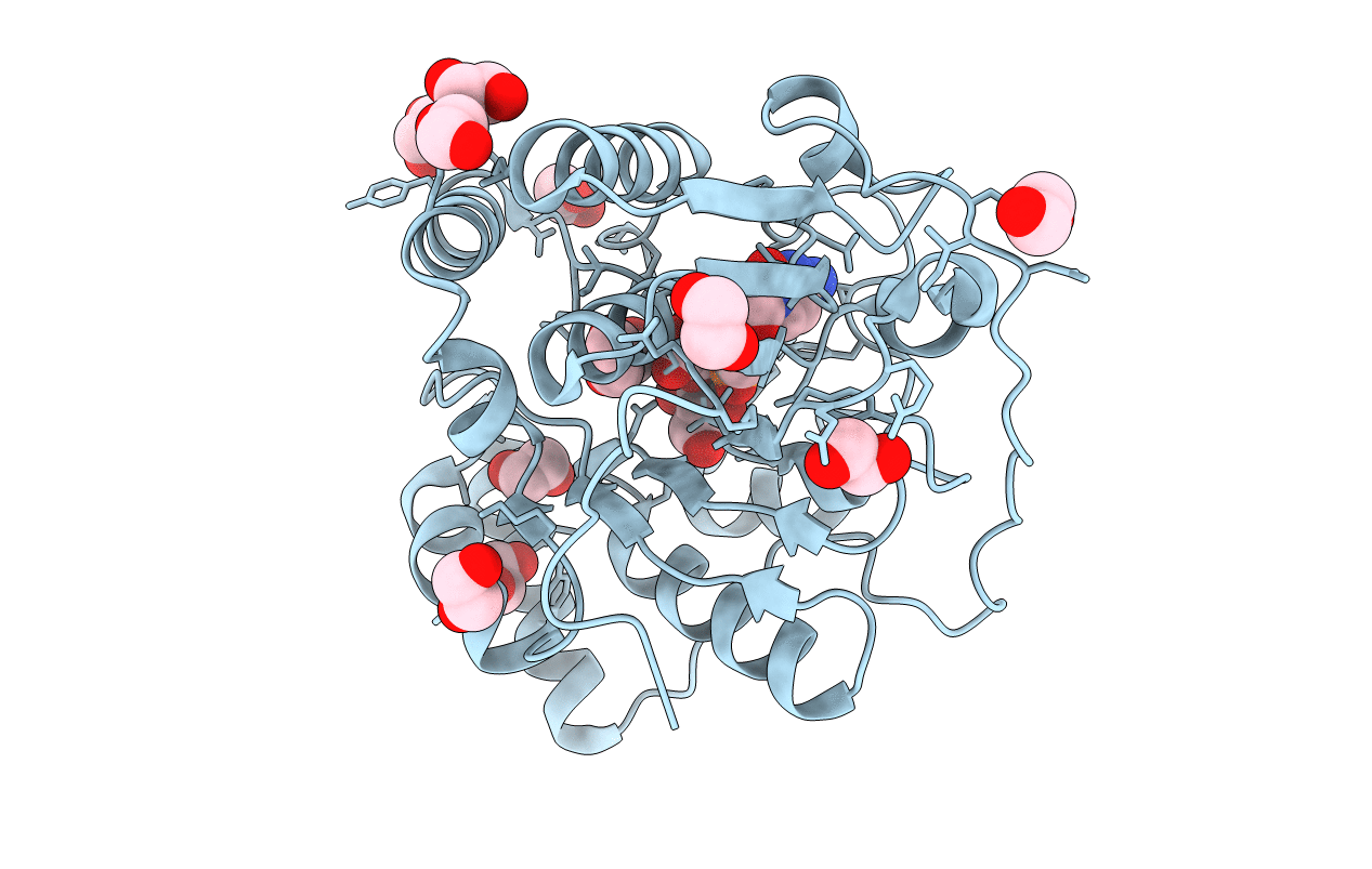 2P2V image