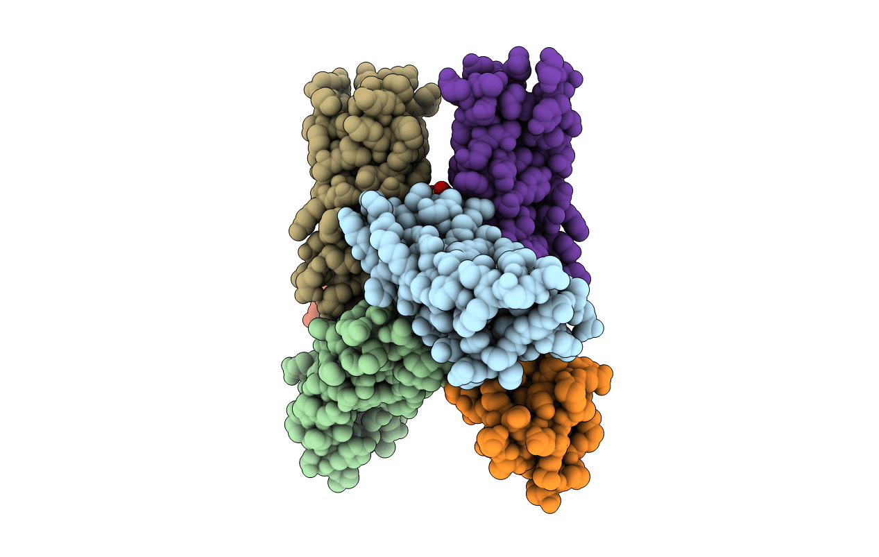2P32 image
