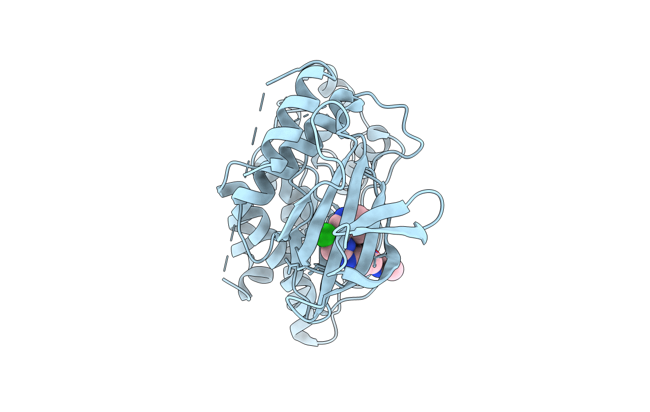 2P33 image