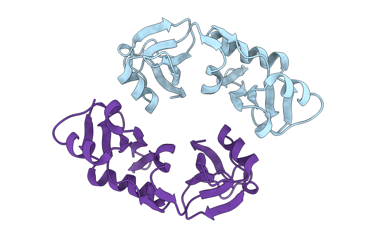 2P38 image