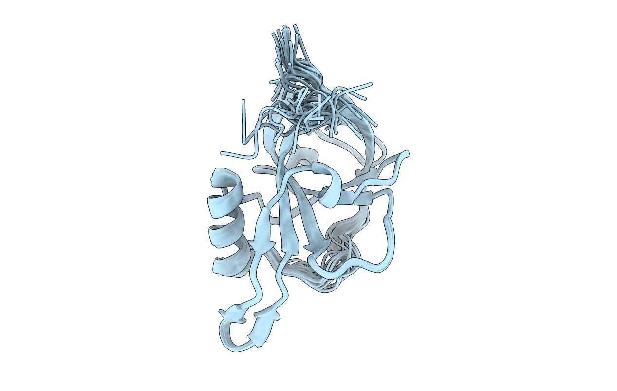 2P3M image