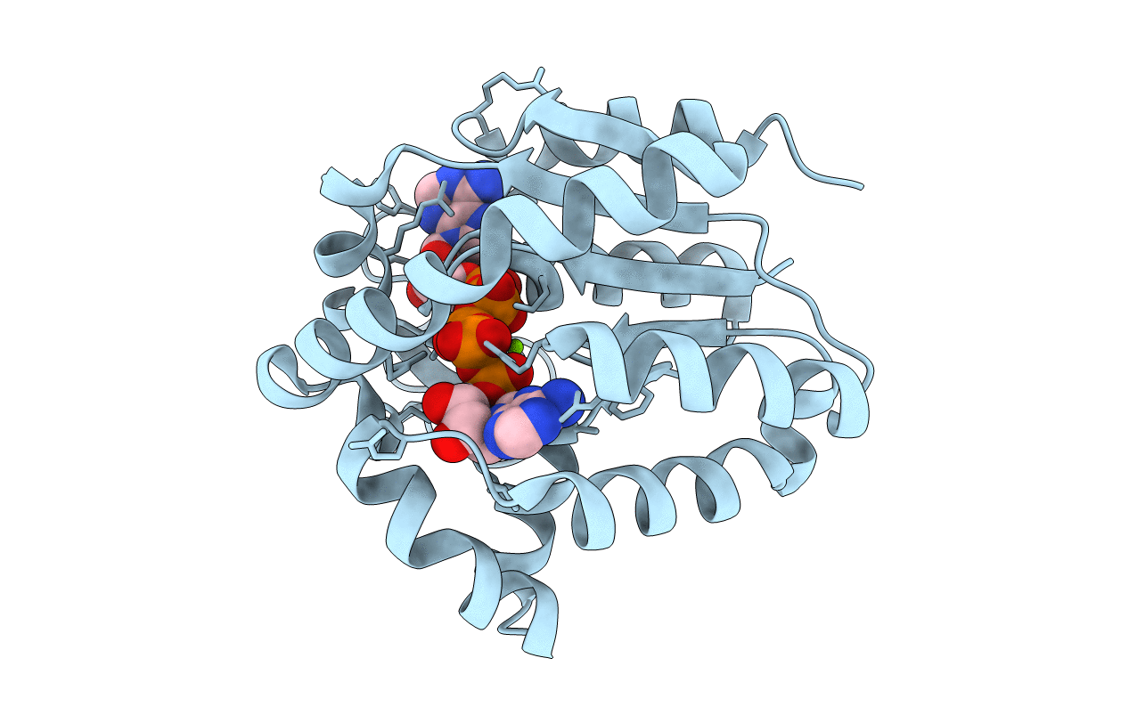 2P3S image