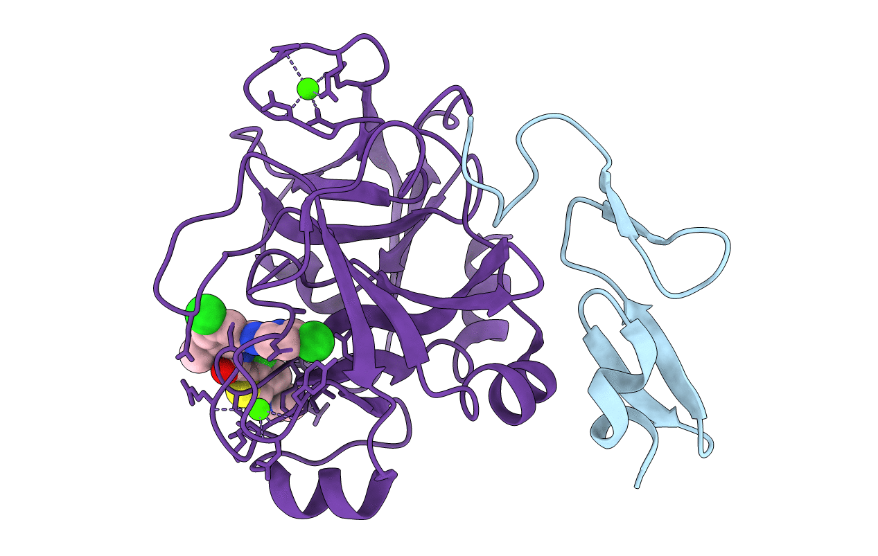 2P3U image