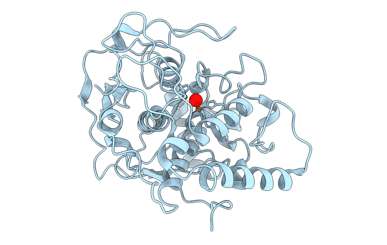2P3X image