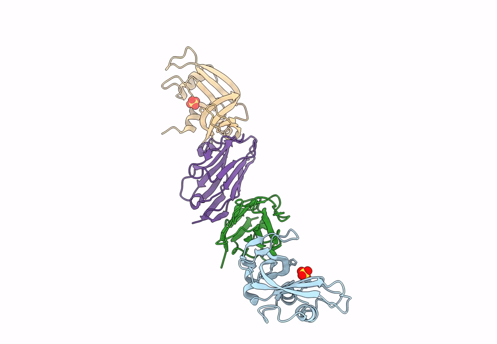 2P4A image