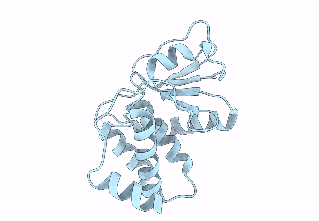 2P4D image