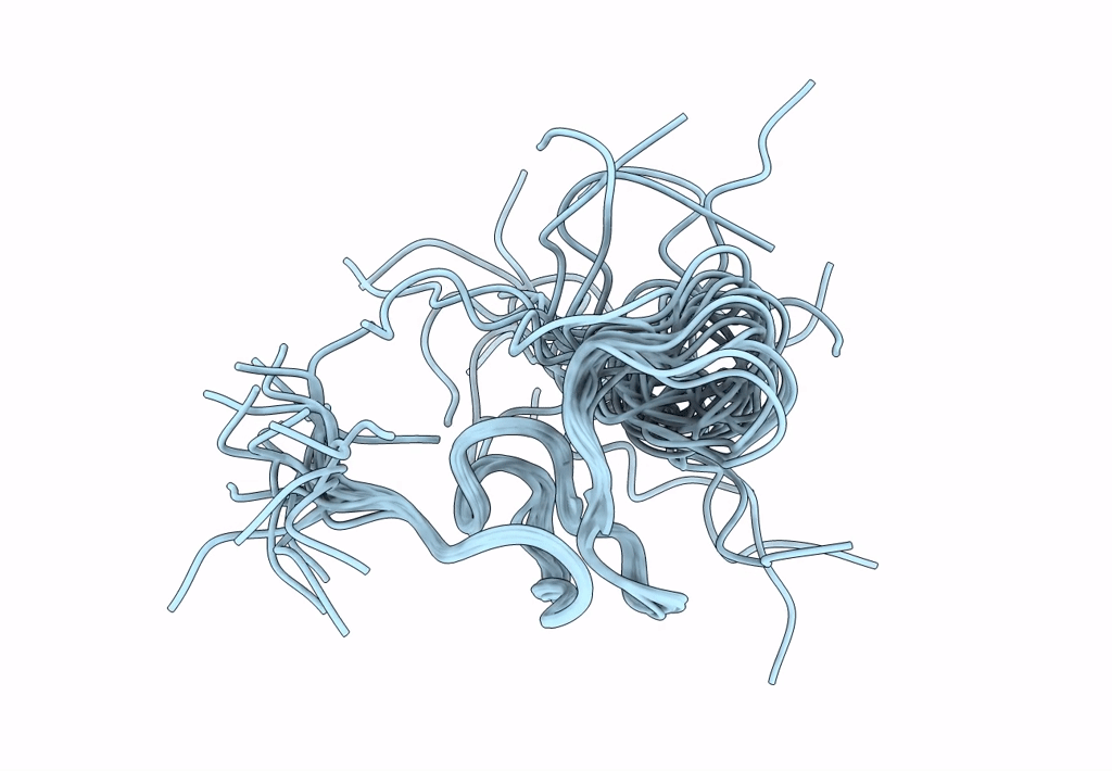 2P4L image