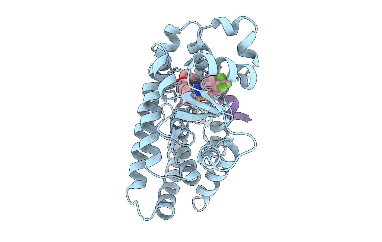 2P54 image