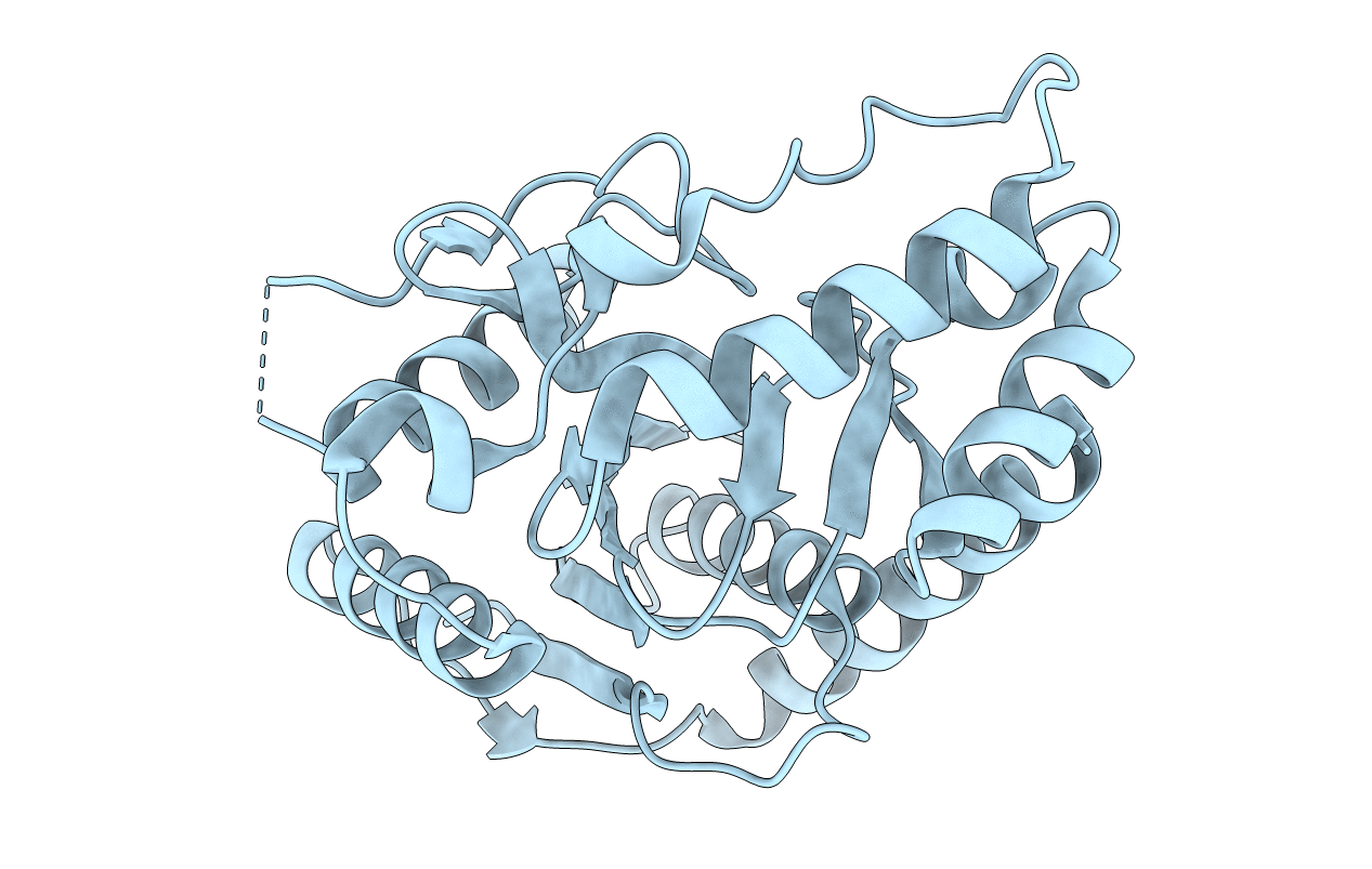 2P5I image