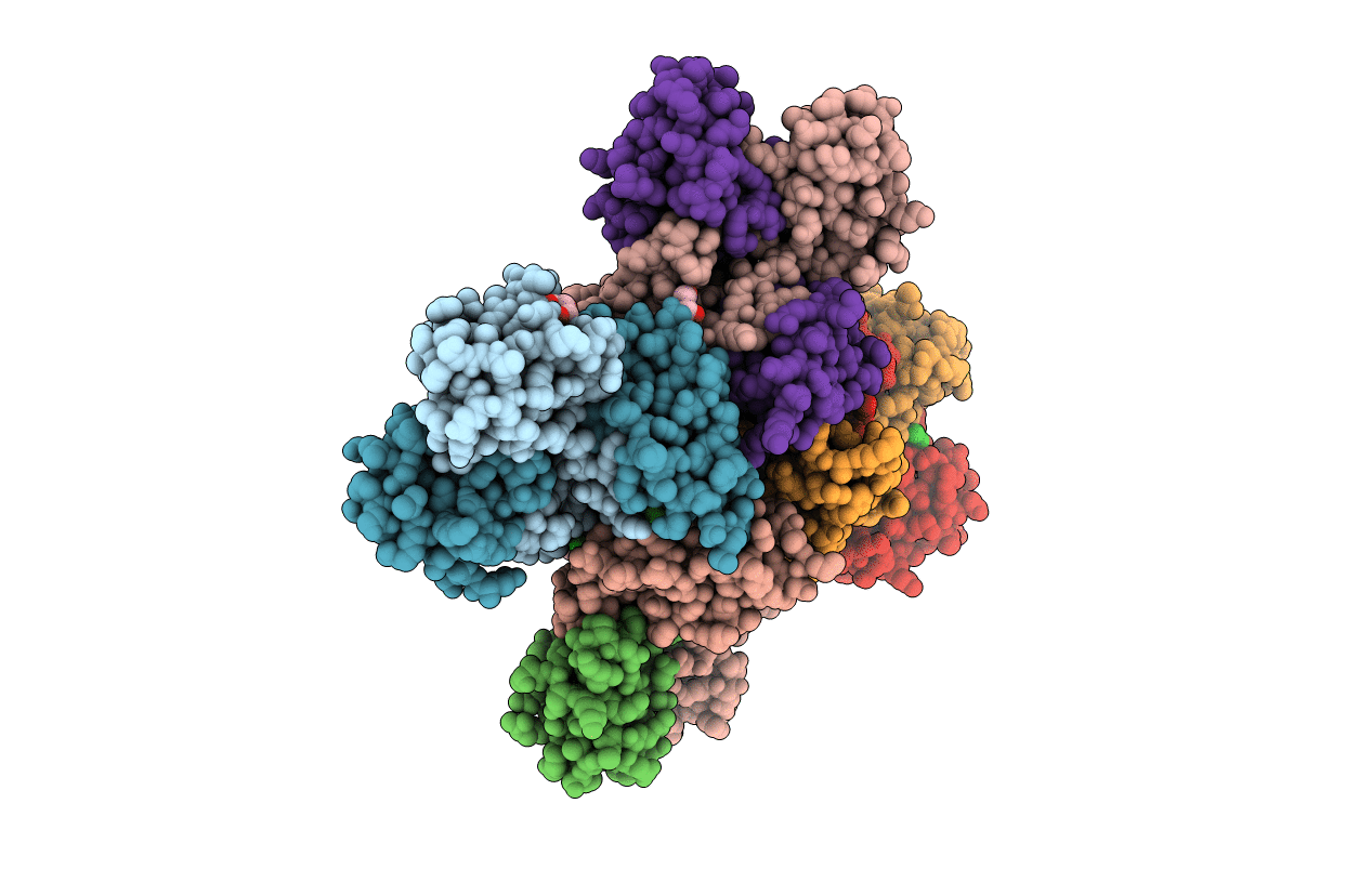 2P5V image