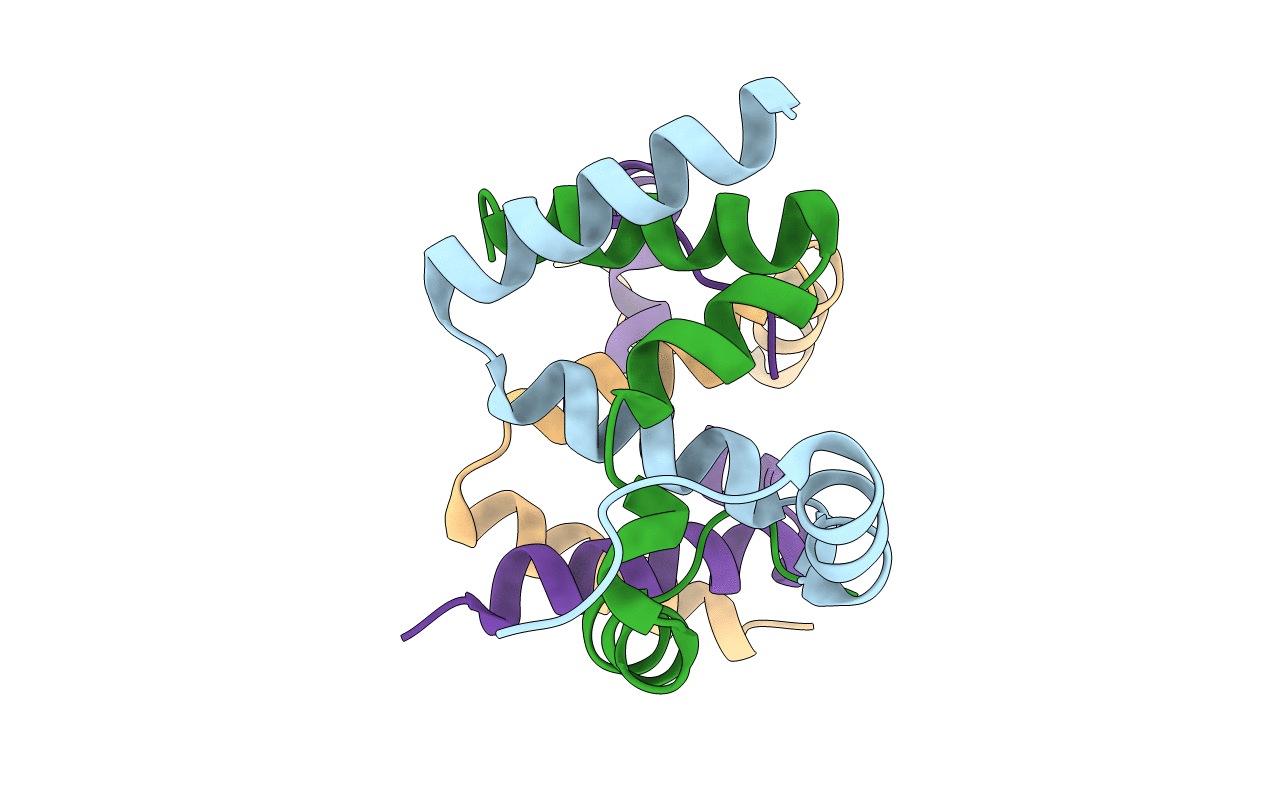2P63 image