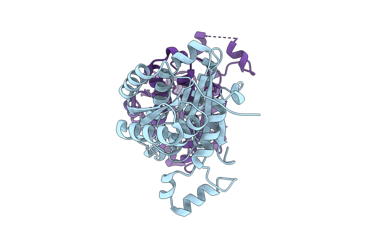 2P68 image