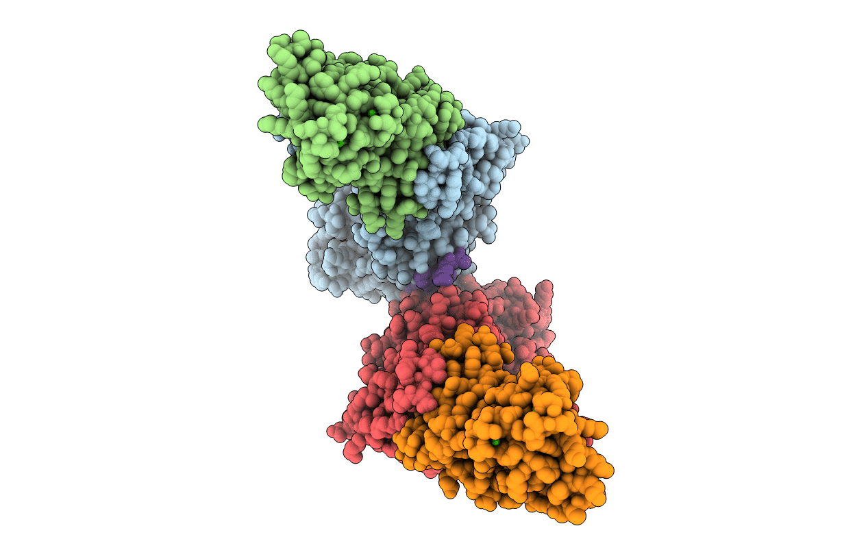 2P6B image