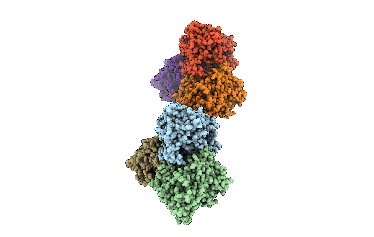 2P6E image