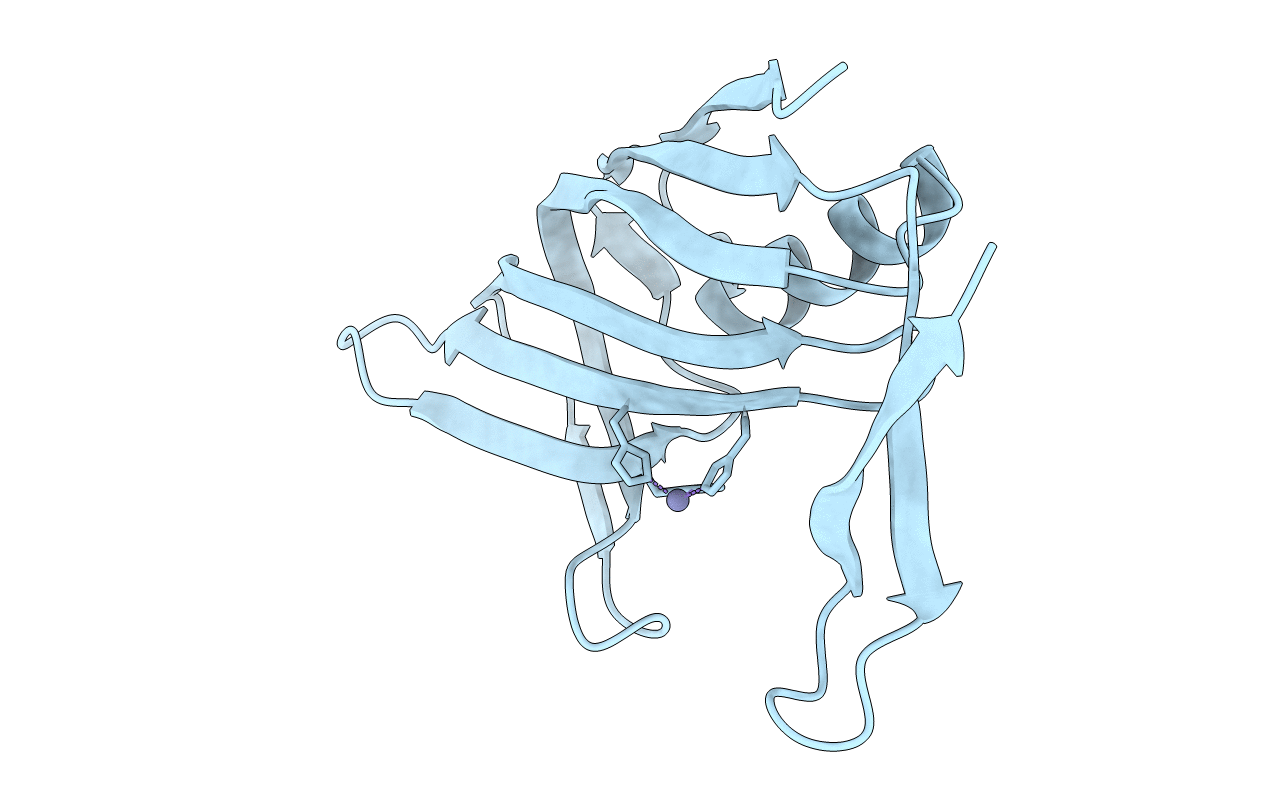 2P6Y image