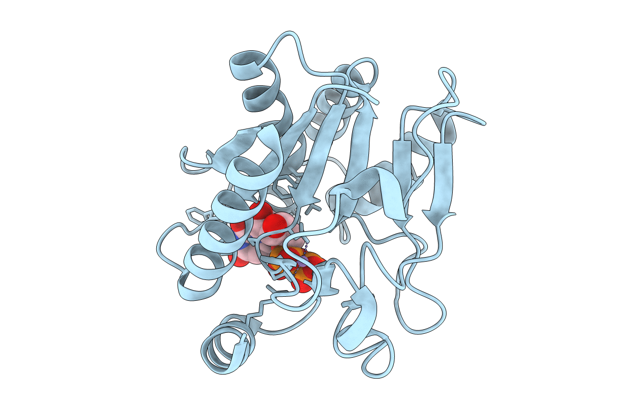 2P73 image
