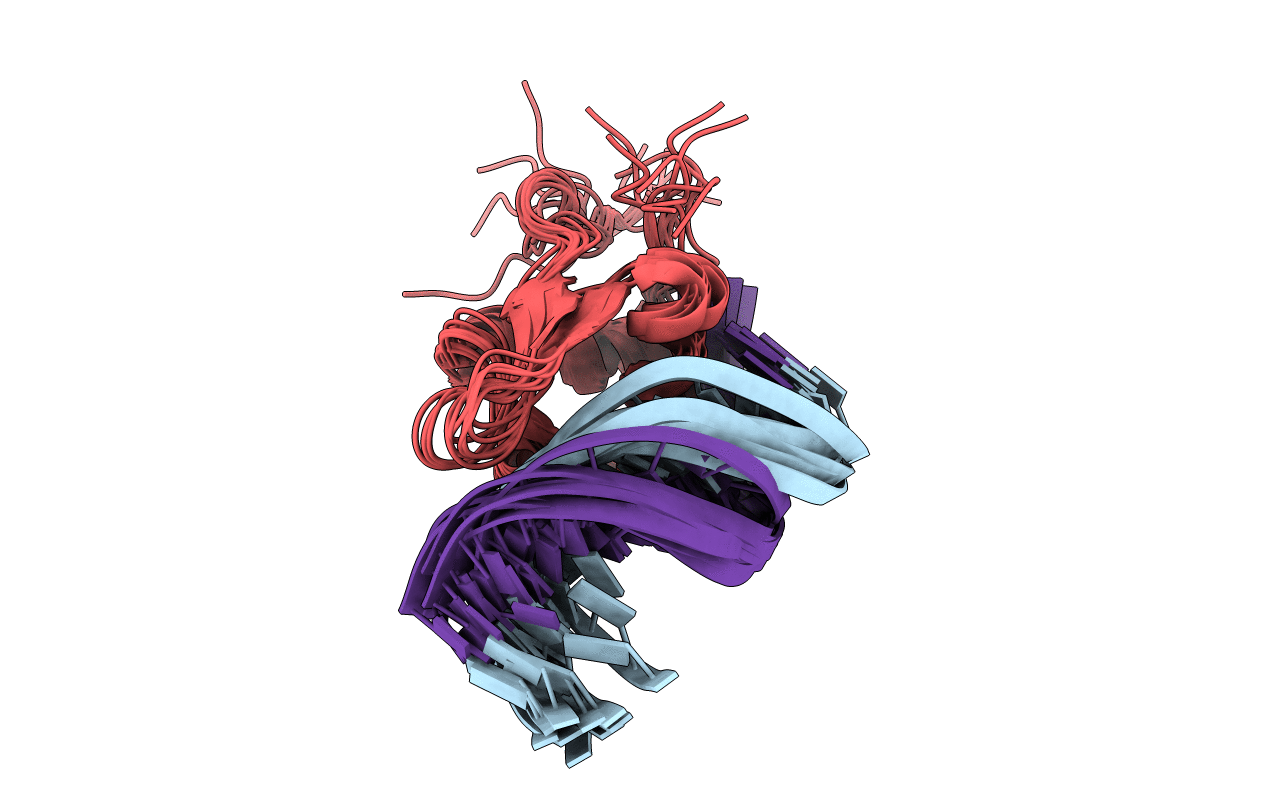 2P7C image