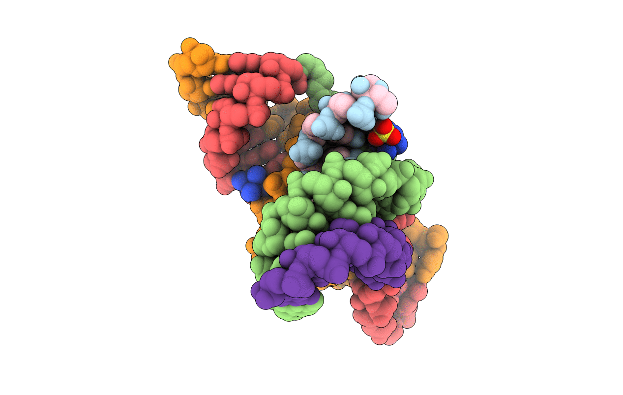 2P7D image