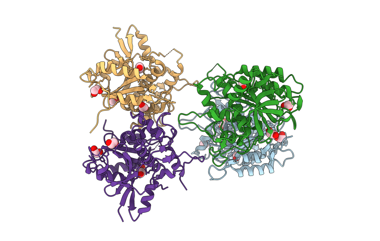 2P82 image
