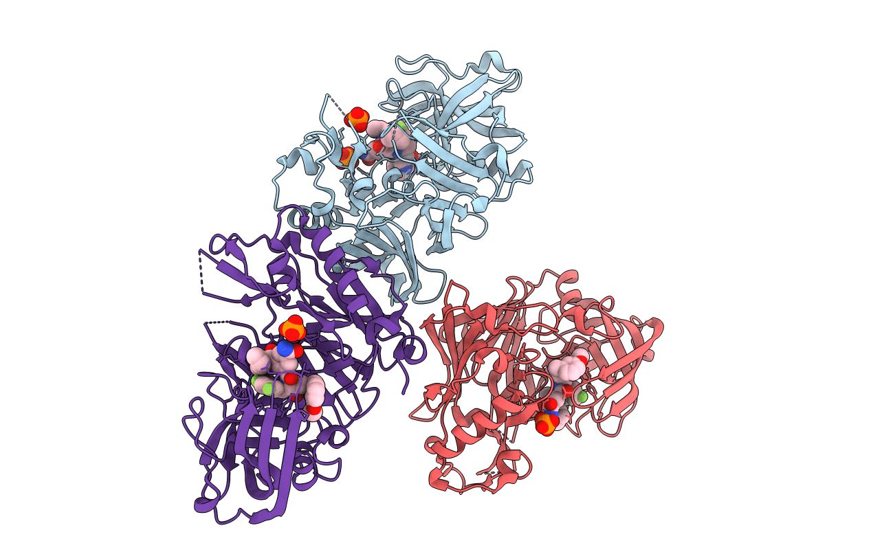 2P83 image