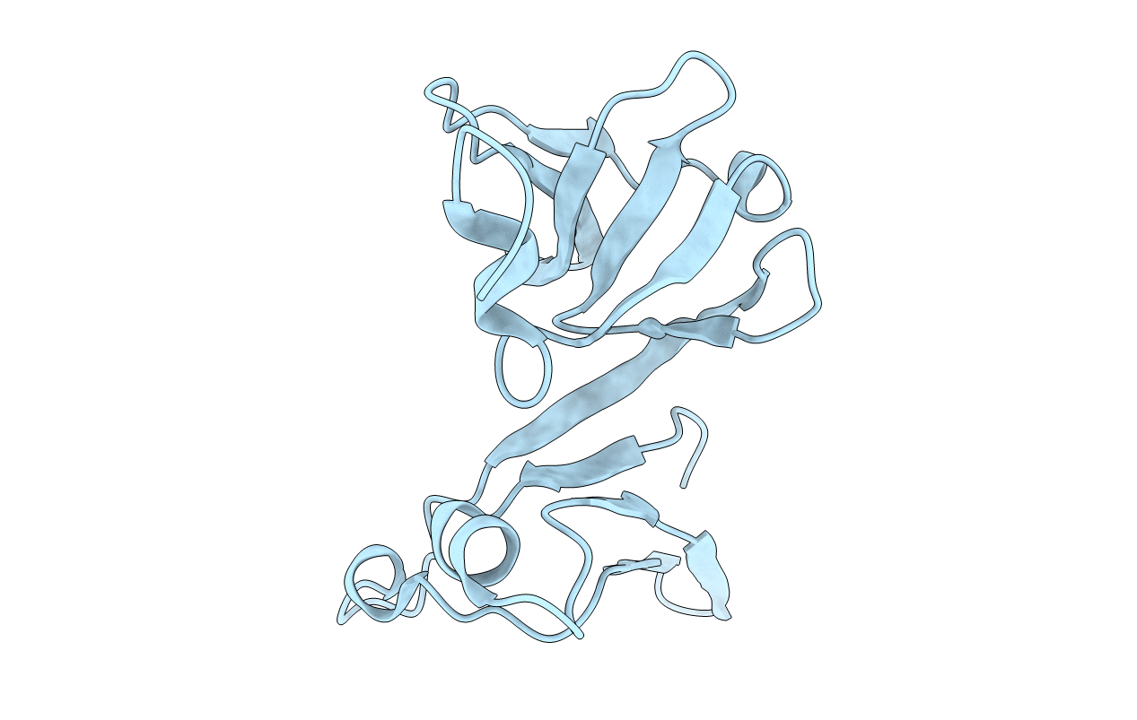 2P84 image