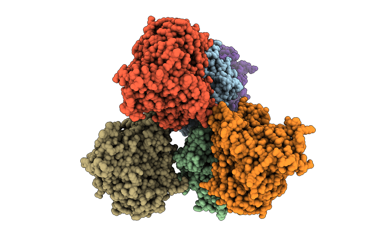 2p85 image