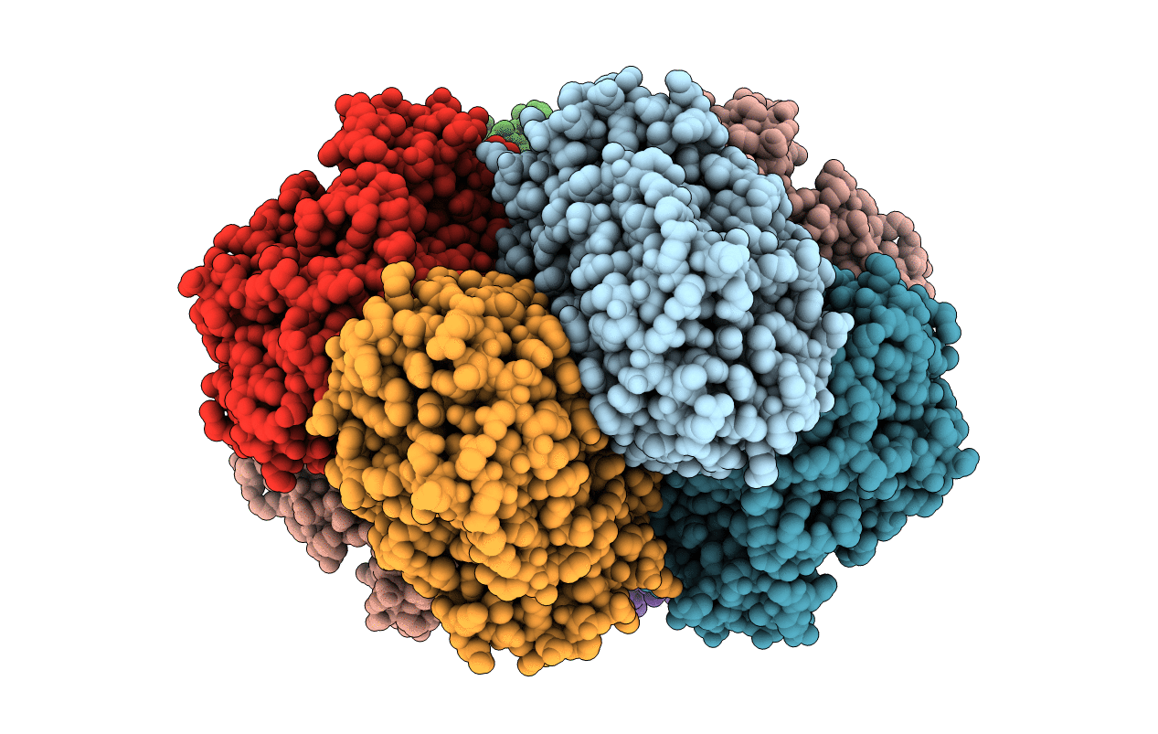 2P88 image