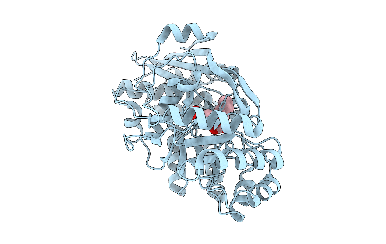 2P8B image