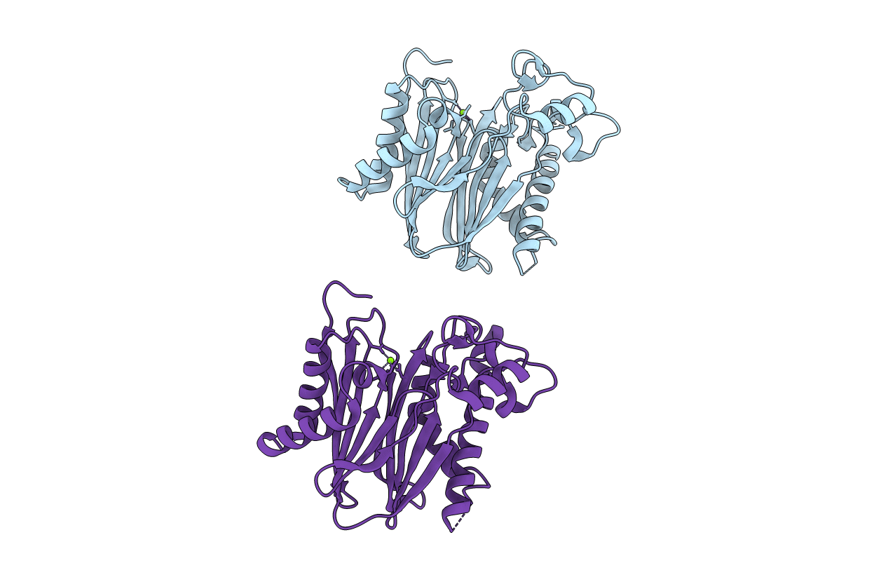 2P8E image