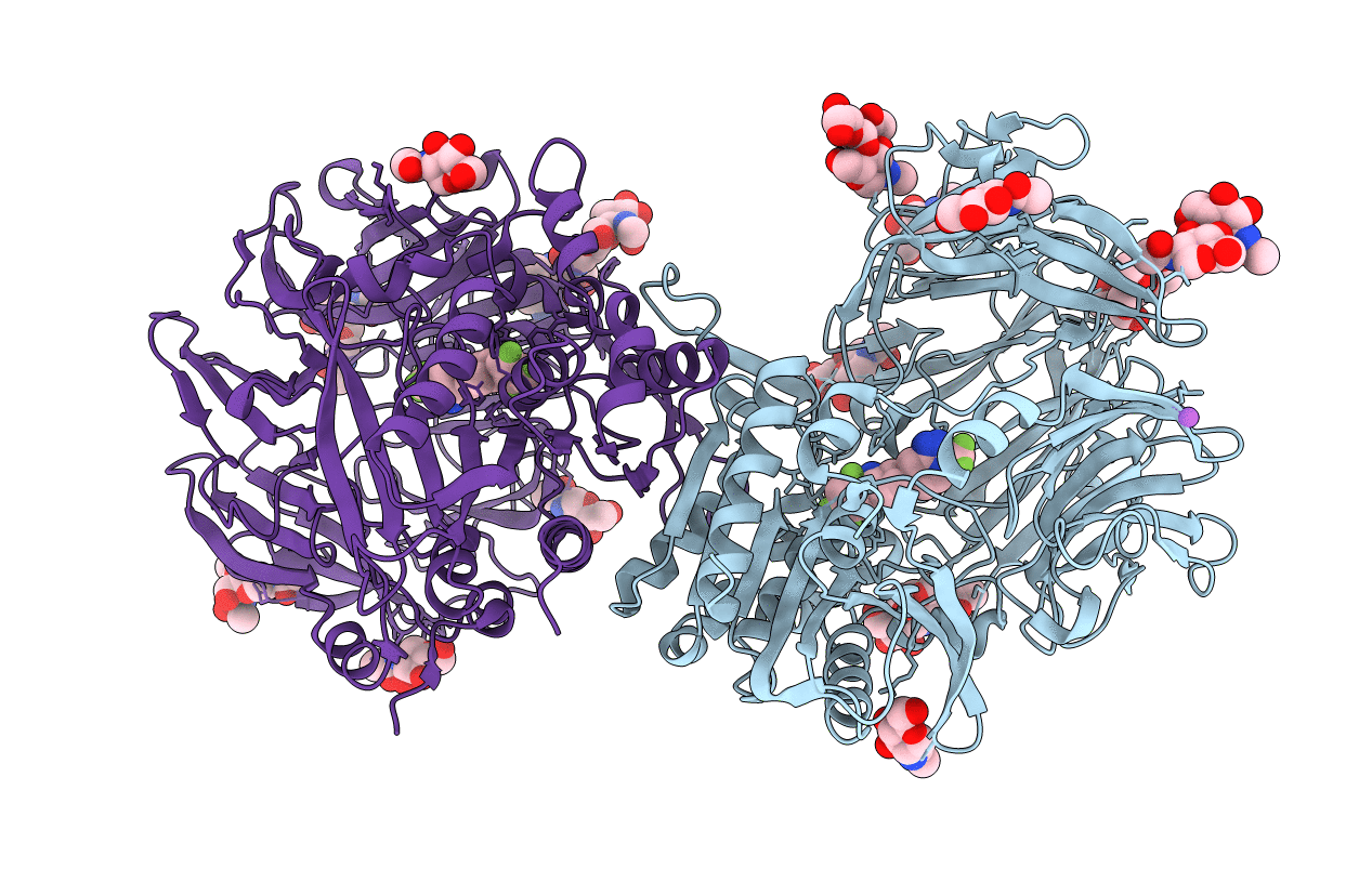 2P8S image