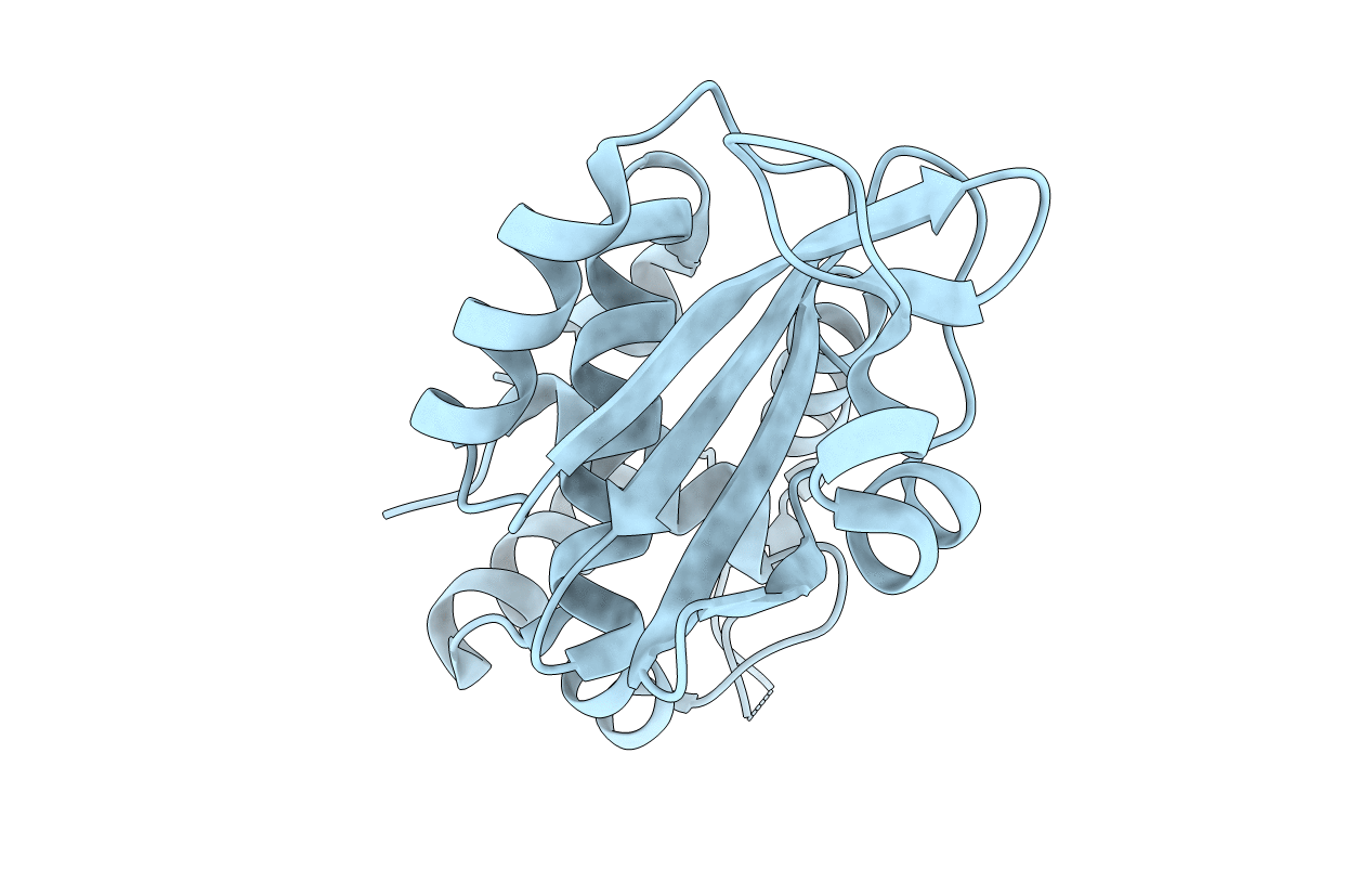 2P8T image