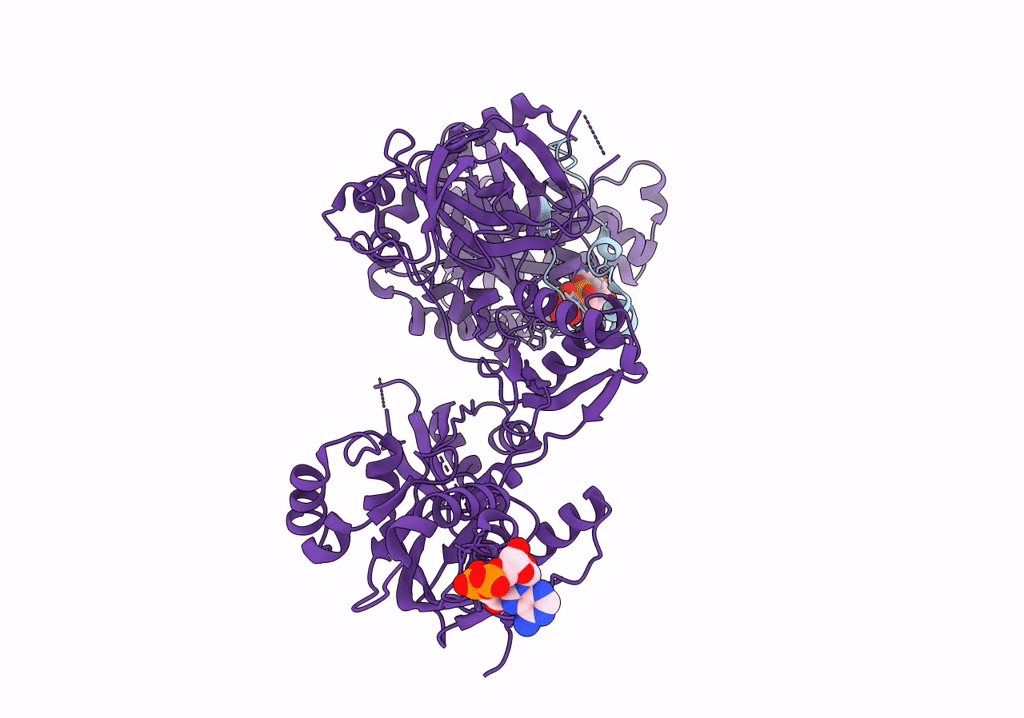 2P8x image