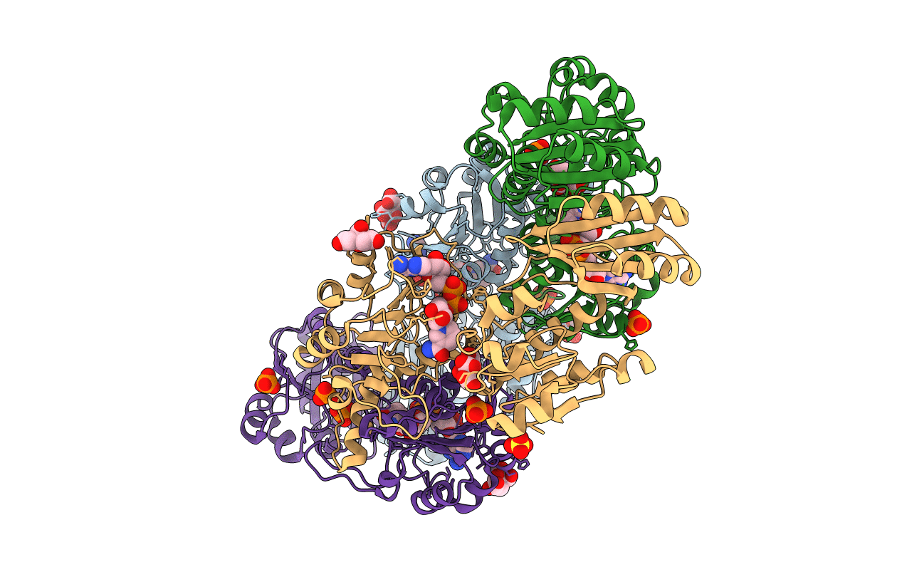 2P9E image