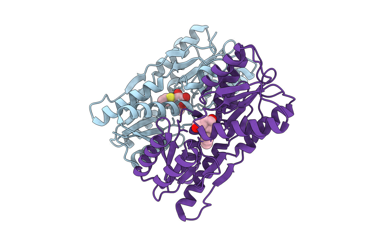 2P9H image