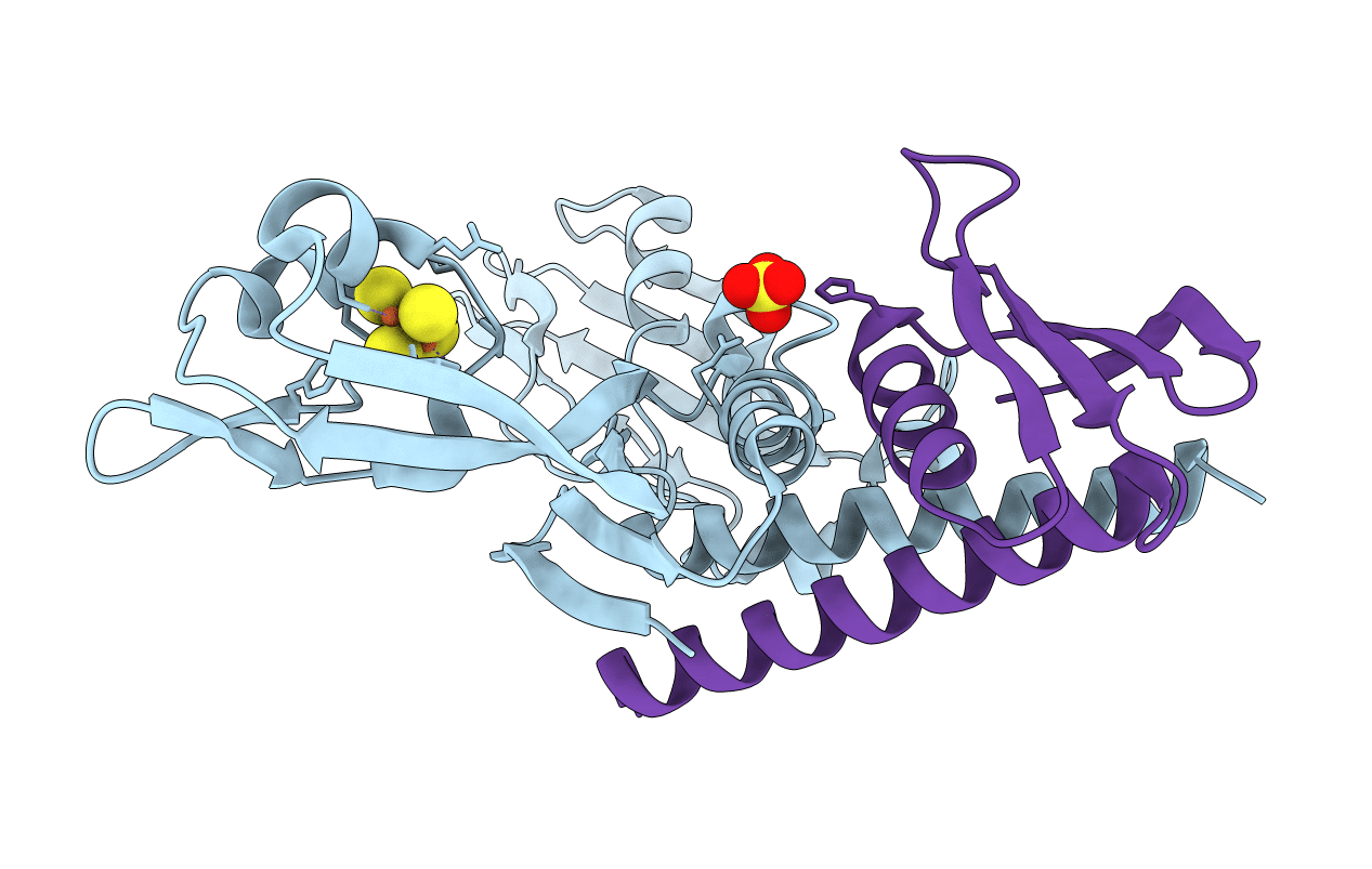 2PA8 image