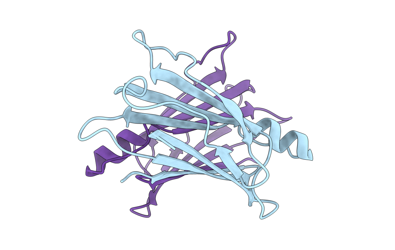 2PAB image
