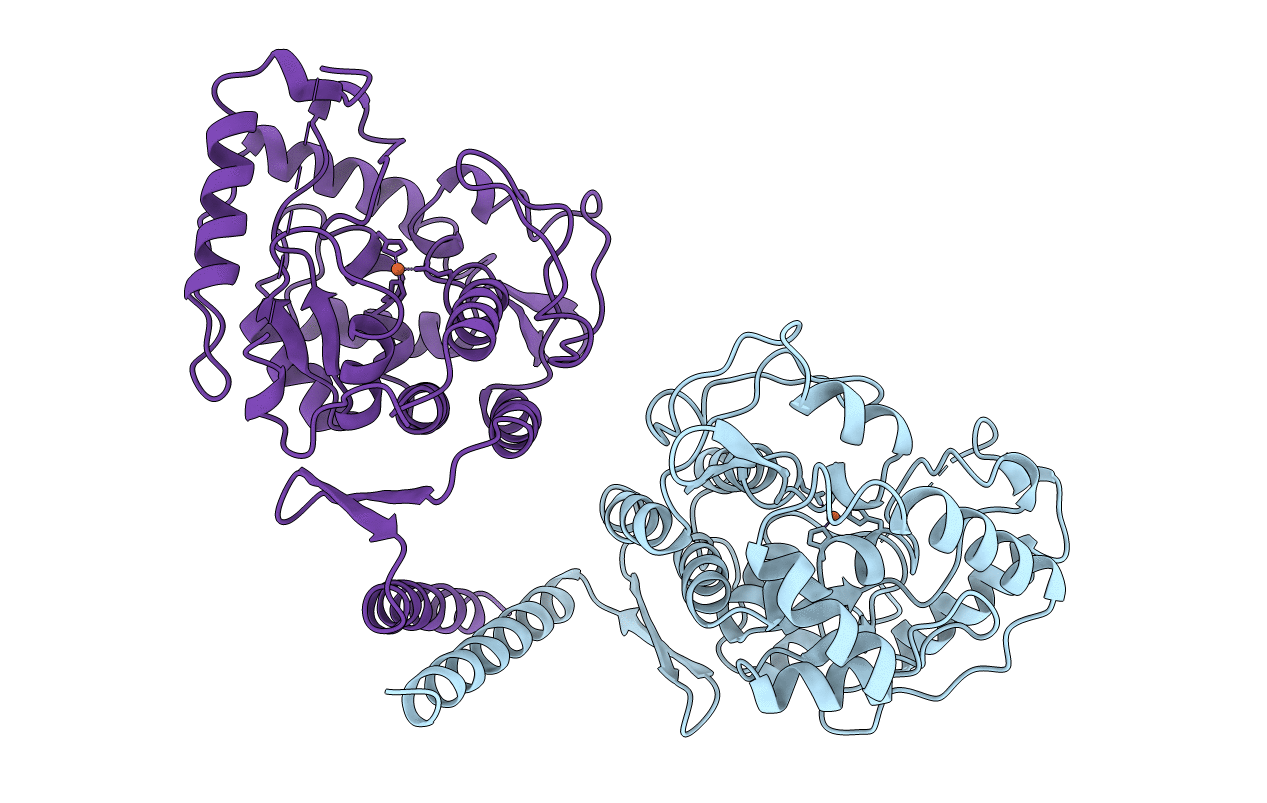 2PAH image