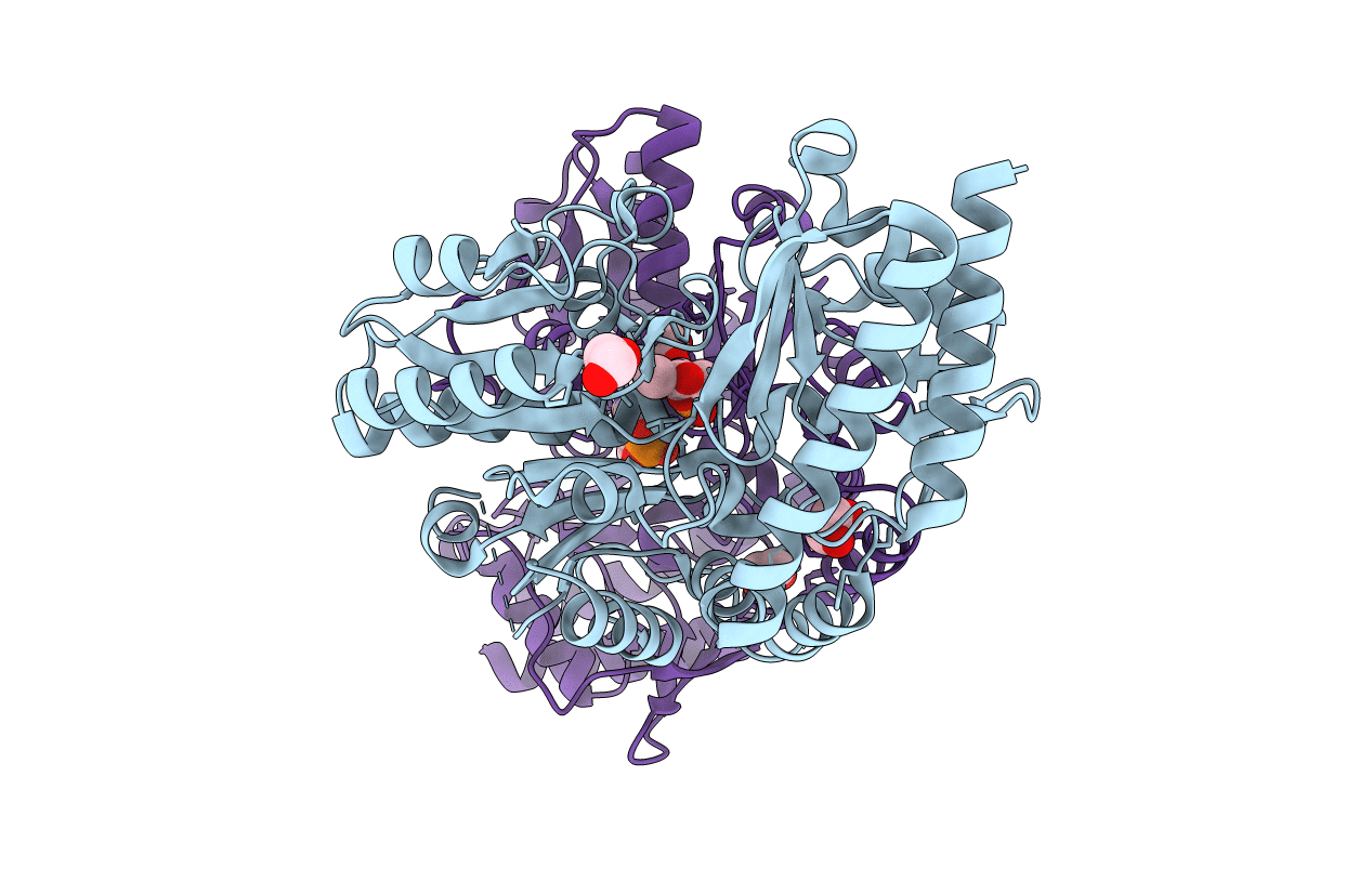 2PB0 image