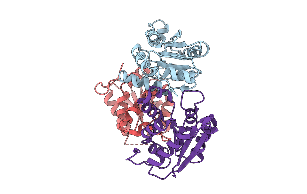 2PBQ image