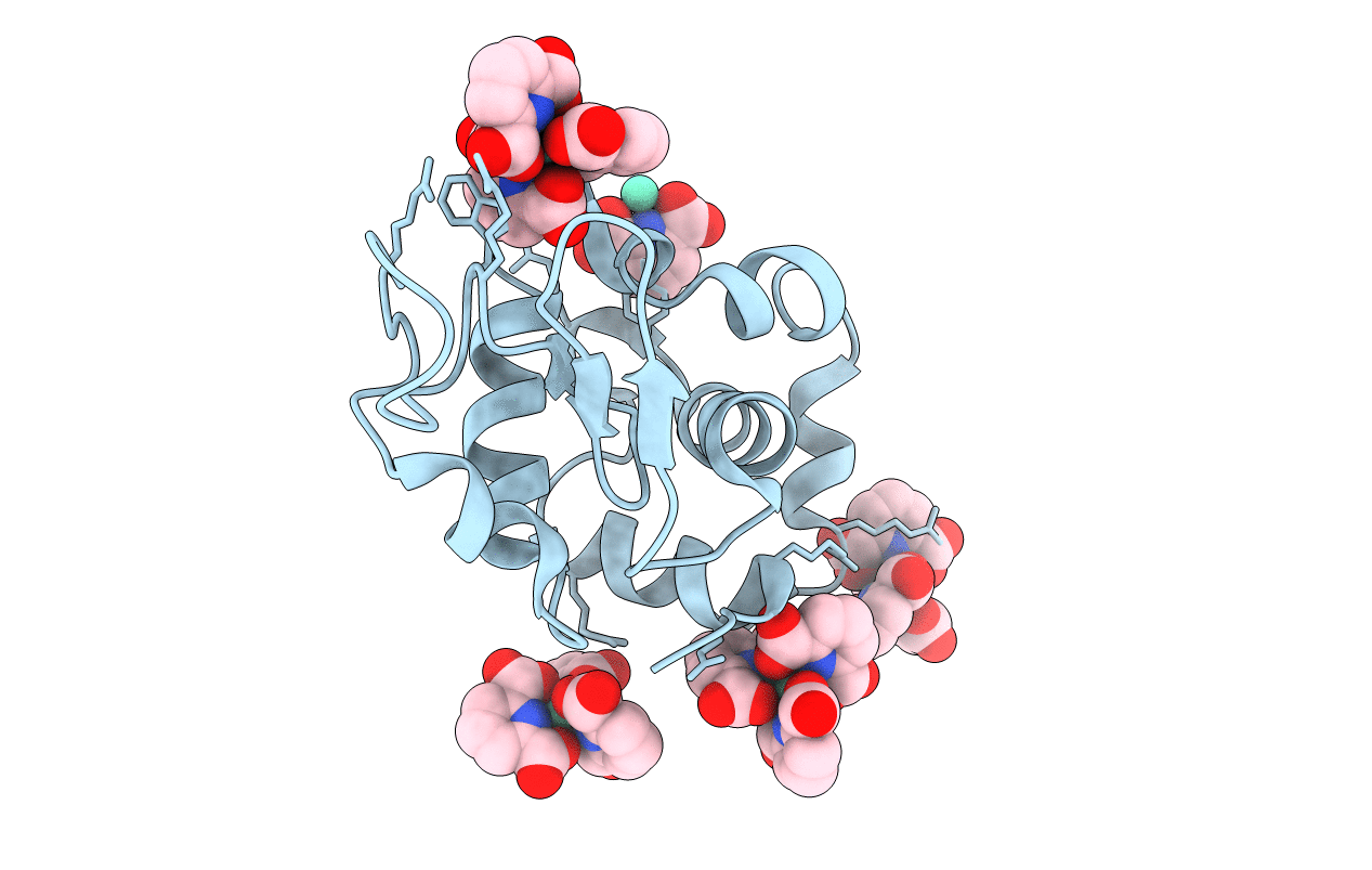 2PC2 image