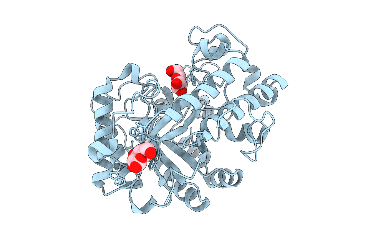 2PC8 image