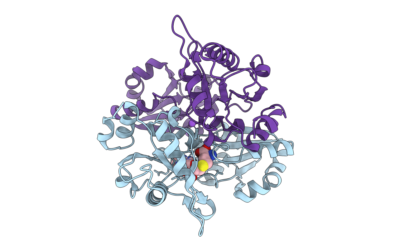 2PCA image