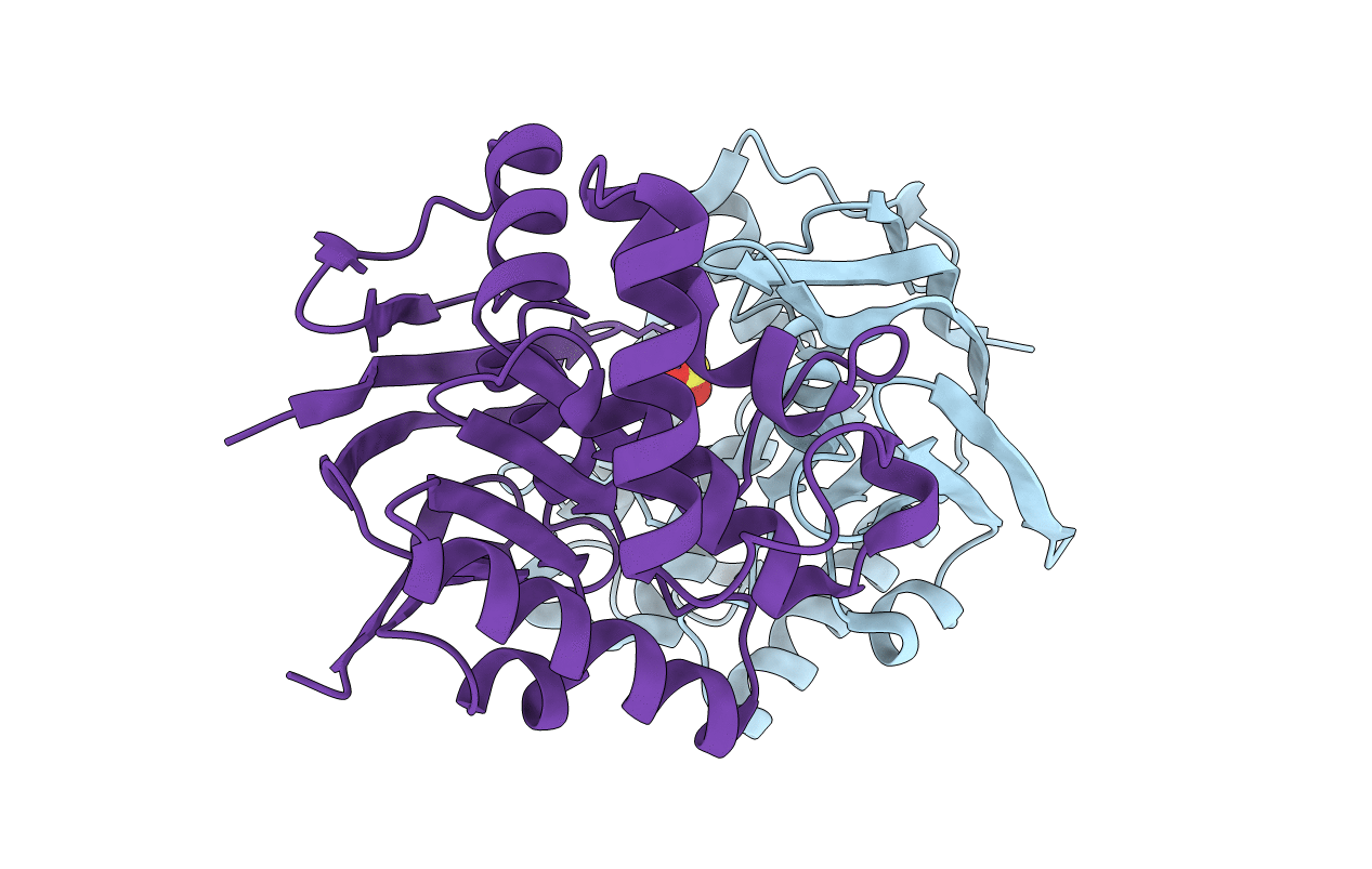 2PCJ image