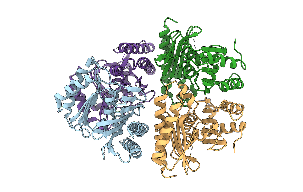 2PCR image