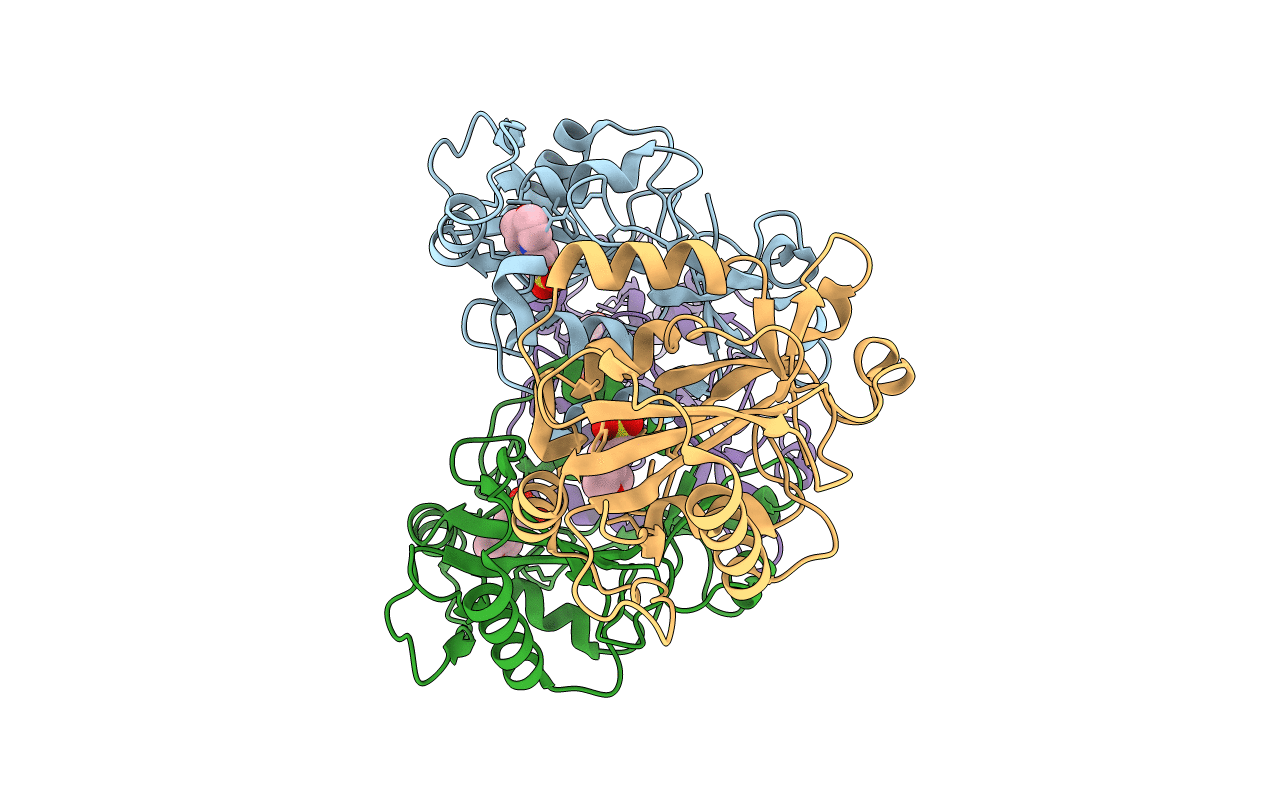 2PD0 image