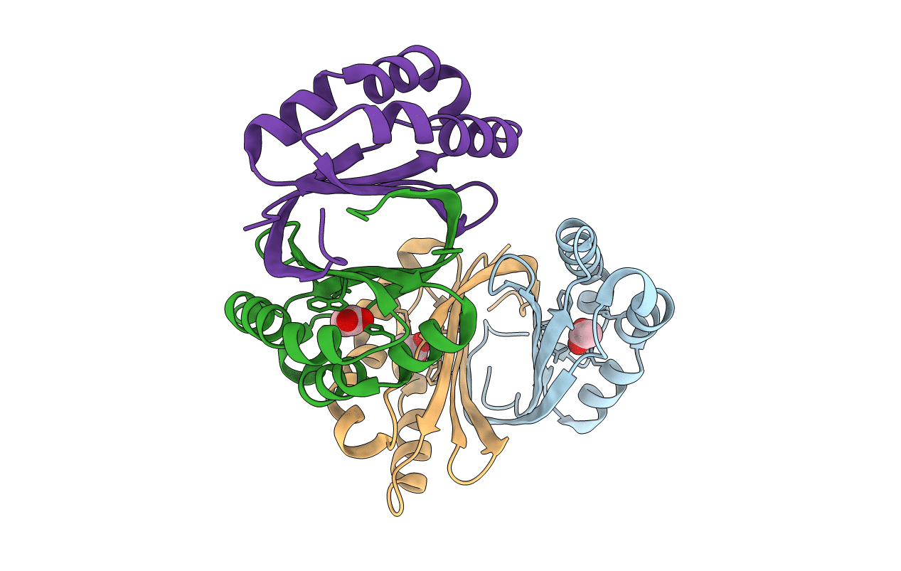2PD1 image