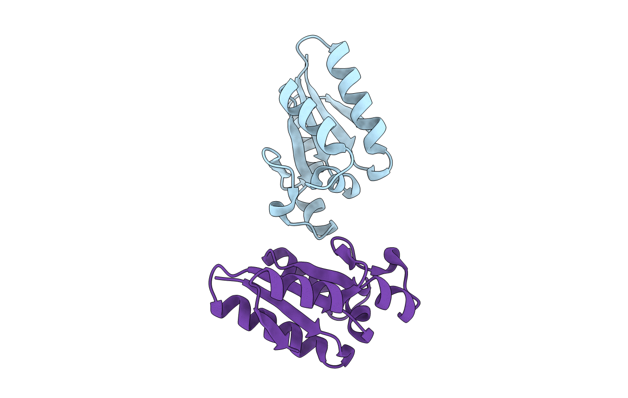 2PD2 image