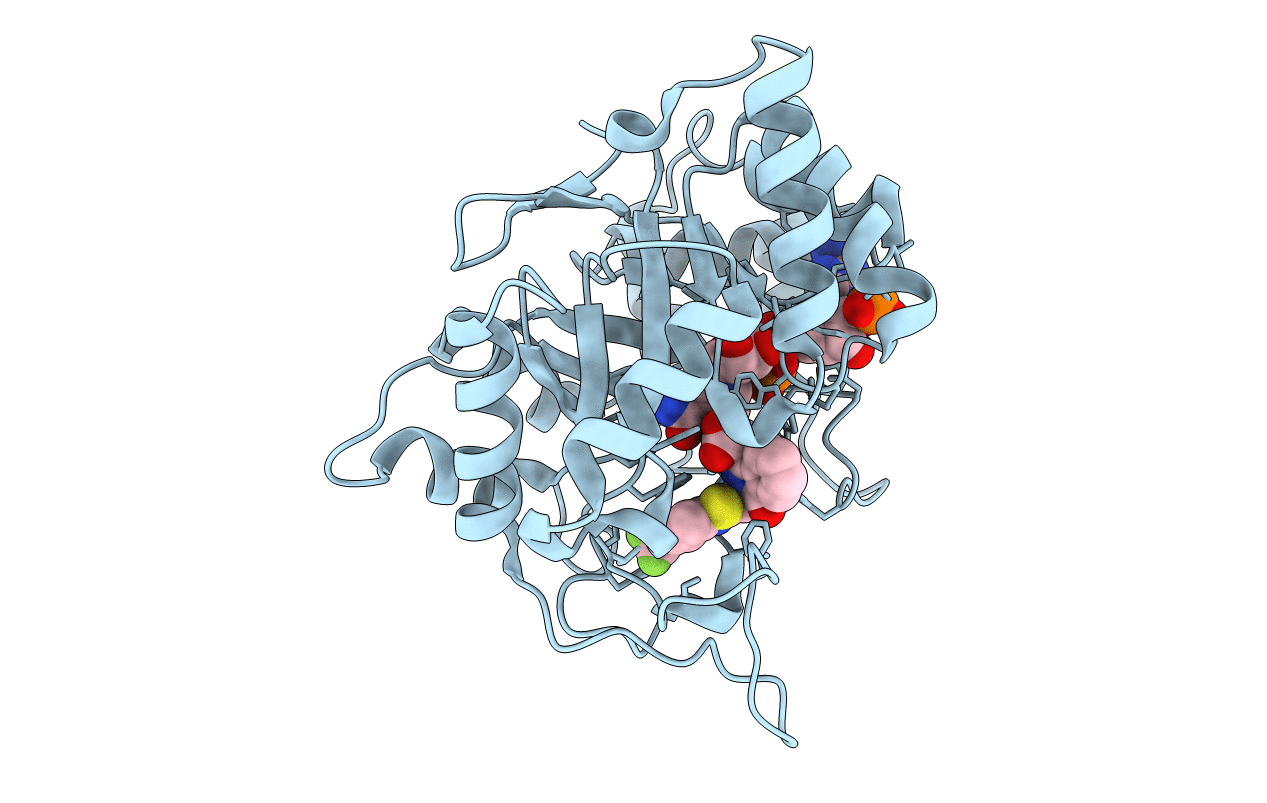 2PD5 image