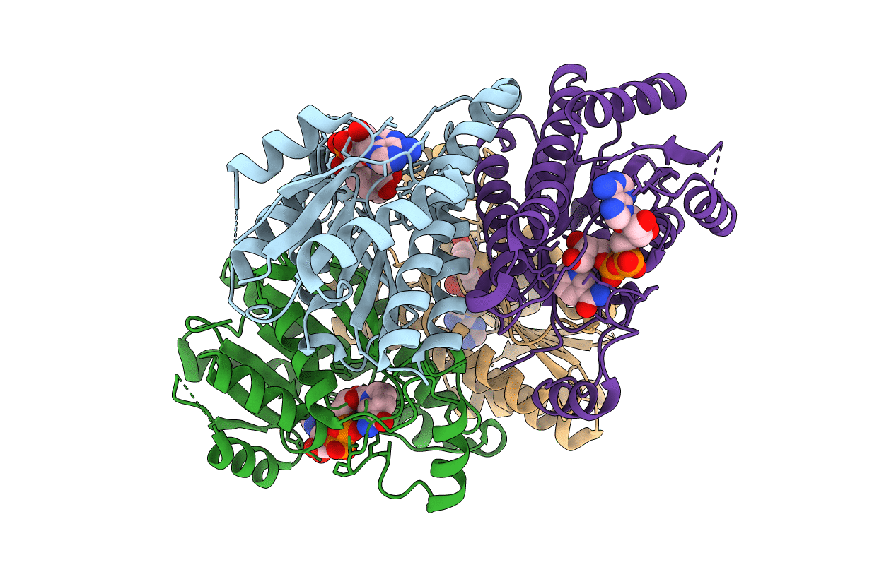 2PD6 image