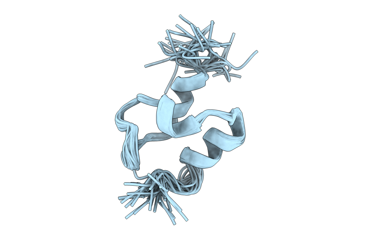 2PDD image